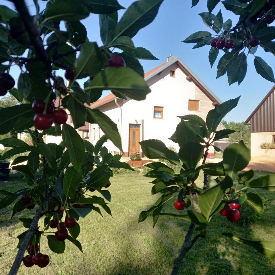 Villa Kuca Za Odmor Boki à Gospić Extérieur photo